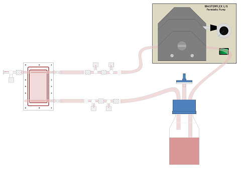 Parallel-plate flow chamber and circuit